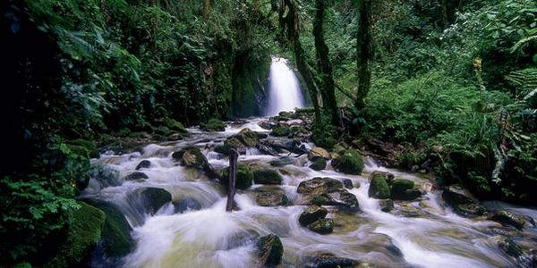 The Amazon in Peru is home to many wonders such as this waterfall.
