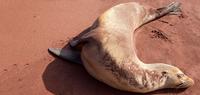 Voyage Galapagos - 10 Day, g1, Central Islands
