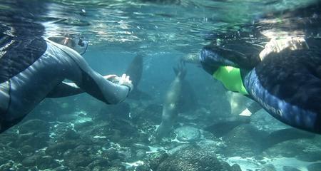 Uncover Galapagos - Central and Southern Islands