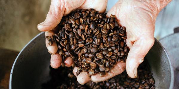 Roasted Colombian coffee beans