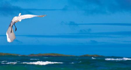 Explore Galapagos - Southern, Central and East Islands