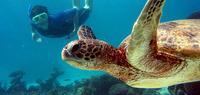 Galapagos Northern Islands & Inca Discovery