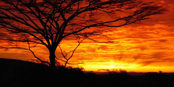 Beautiful African sunset.