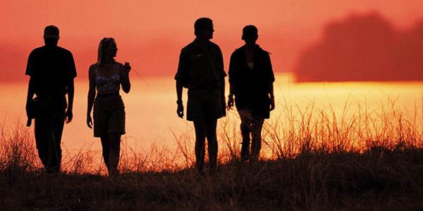 Silhouettes at sunset in South Africa.