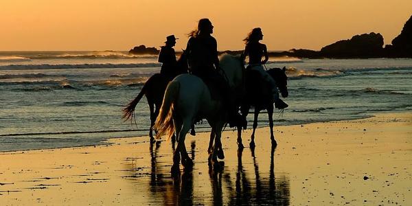 Riders on horseback along the beach at sunset