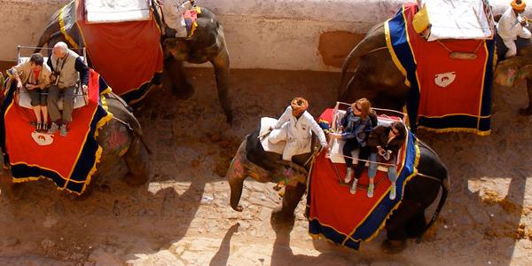 Riding Elephants in Southern India