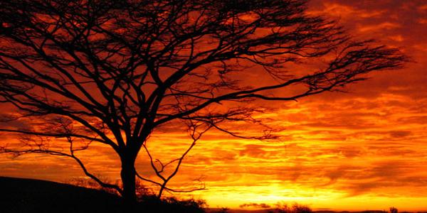 Beautiful African sunset.