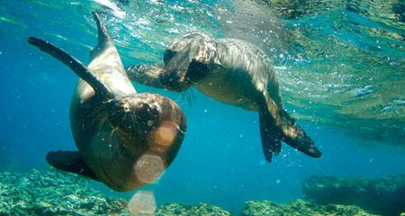 Explore Galapagos - Central Islands