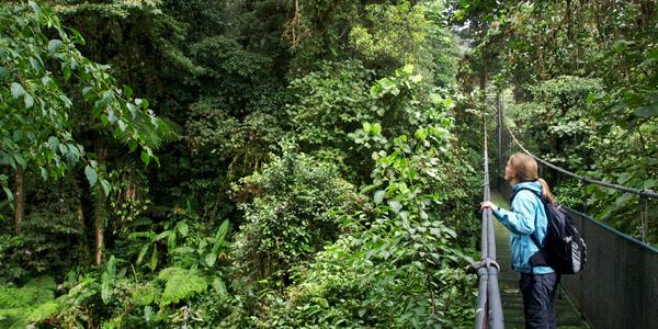 A woman hanging upside-down on a zipwire!