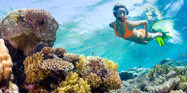 A woman snorkelling in the turquoise-blue Belize-an waters