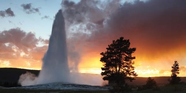 A geyser in Yellowstone
