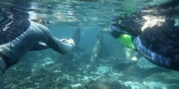 Snorkeling in the Galapagos Islands