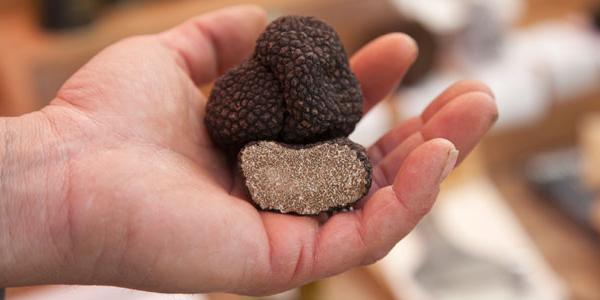 Black truffles from Croatia.