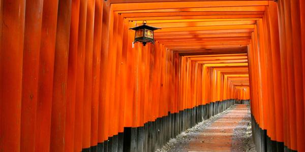 Visiting Temples in Japan
