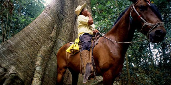 A local guide on horseback takes in his natural surroundings