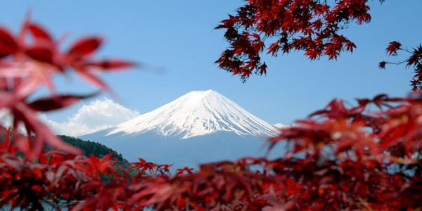 Japanese mountain through the trees