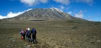 Mt. Kilimanjaro Private Trek - Lemosho Route