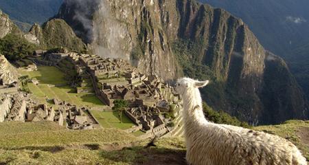 Amazon To The Andes & Galapagos, Western Islands