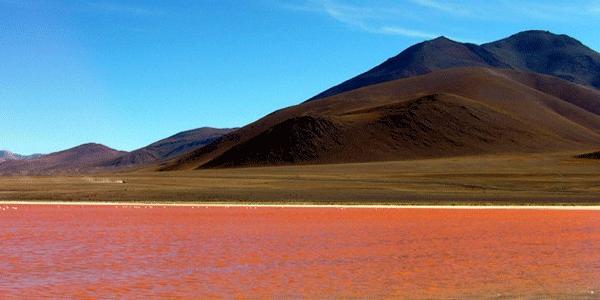 Bolivia Uyuni Laguna Colorada