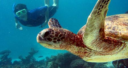 Galapagos North and Central Islands & Inca Discovery