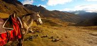 Inca Heartland