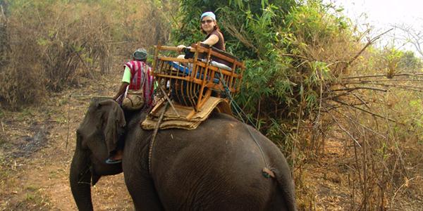 Riding an elephant in Chang Mai