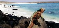Superior Galapagos - Northern and Central Islands