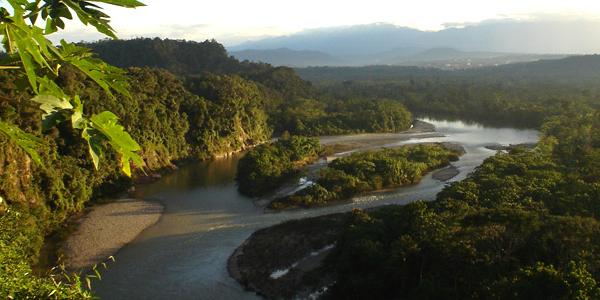 River valley in the Amazon in Ecuador