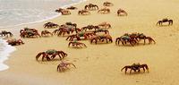 Islands To Andes Experience