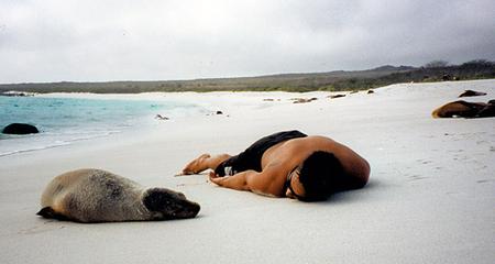 Discover Galapagos - Northern and Central Islands