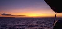Explore Galapagos - Southern Islands