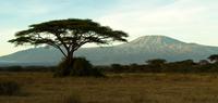 Mt Kilimanjaro & Serengeti Adventure