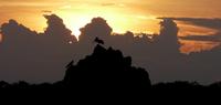 Voyage Galapagos - Southern Islands