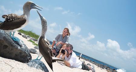 Explore Galapagos - Southern and East Islands