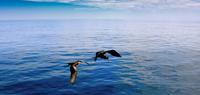 Explore Galapagos - Central and East Islands
