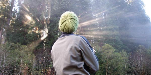 Trekking through the forest in Redwood National Park