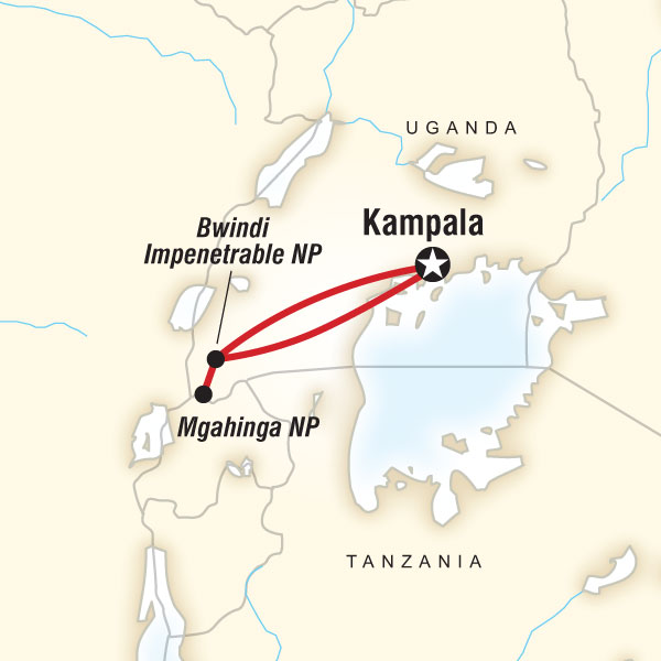 Gorilla and Volcano Trek