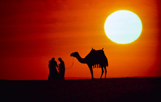 http://media.gadventures.com/media-server/dynamic/admin/photos/DPEAD_banner_egypt_camels_desert_sunset.jpg