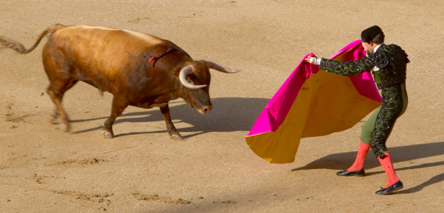 Grab your fastest sneakers and go! Feel the thunder of hooves hit the streets in Spain’s annual Festival of Running with the Bulls.