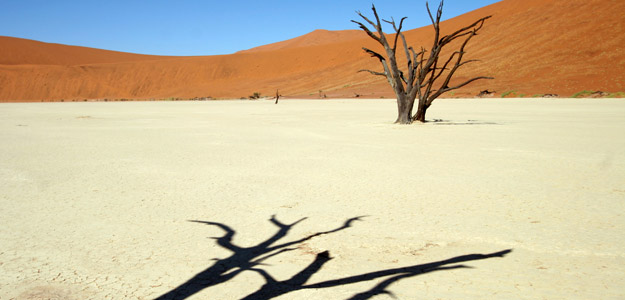 Namibia Travel and Safari Guide