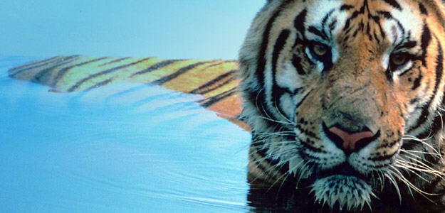 Bangladesh Travel and Destination Guide