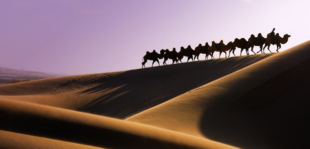 Mongolia Travel and Destination Guide