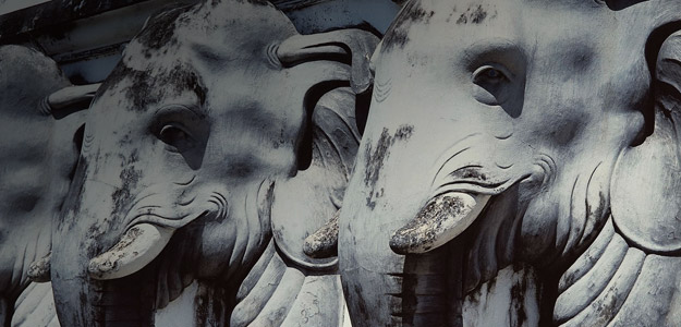 Sri Lanka Travel and Destination Guide