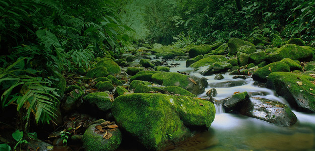 Costa Rica Travel and Destination Guide