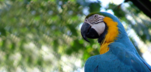 Amazon Travel and Destination Guide
