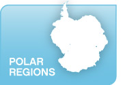 //media.gadventures.com/media-server/dynamic/admin/photos/images/polar_destination.jpg