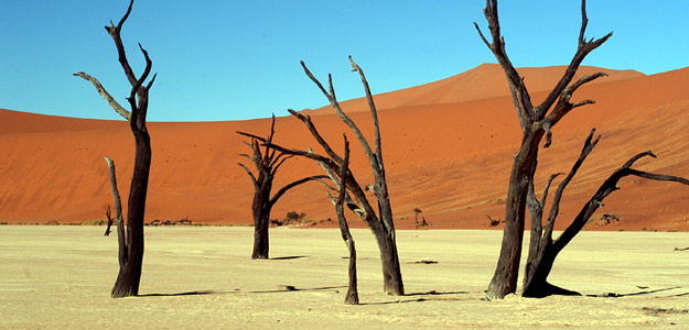 Cape & Dunes Experience