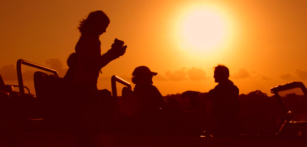 Dakfd_banner_south_africa_family_safari
