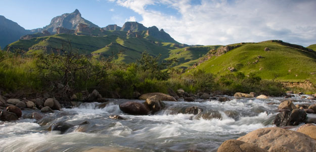 Kruger & the Garden Route