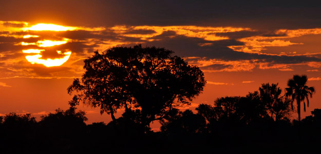 Kruger Camping Safari